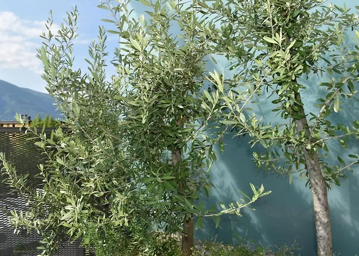 Appartement Orizia By Interhome Locarno